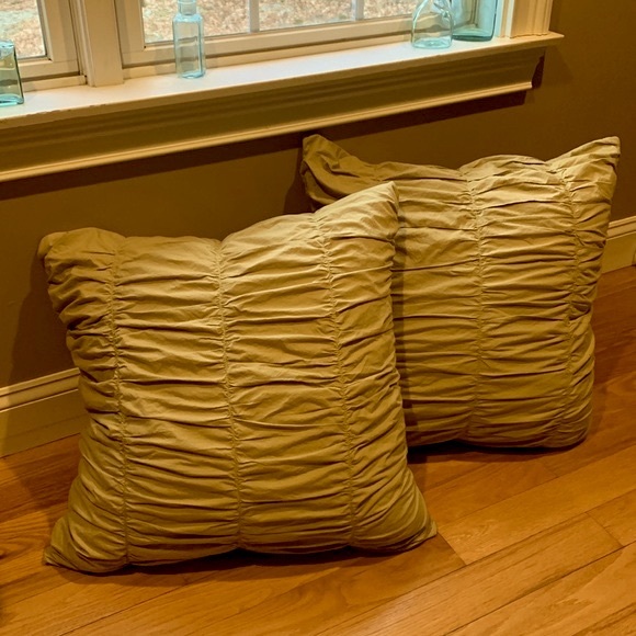 2 MargaretMuir Decorative Pillowcases for Large 25” pillows- light green-square - Picture 14 of 14